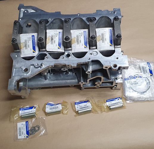 Blok Silnika Renault Megane III 2.0