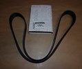 Pasek klinowy 6PK1125 Renault Megane II, III