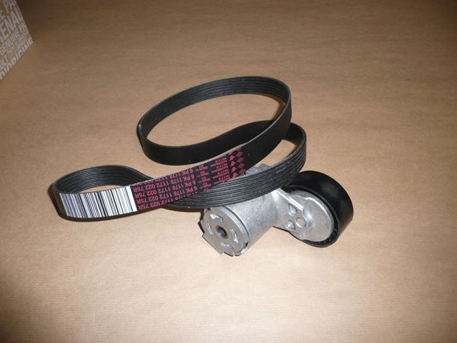 Komplet paska klinowego Renault Scenic IV 1.5 Dci
