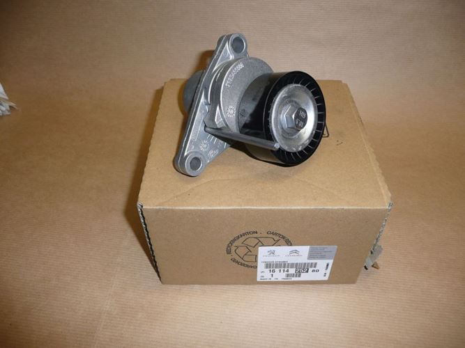 Napinacz alternatora Citroen C3 C4 Peugeot 207 308 1.6 16V