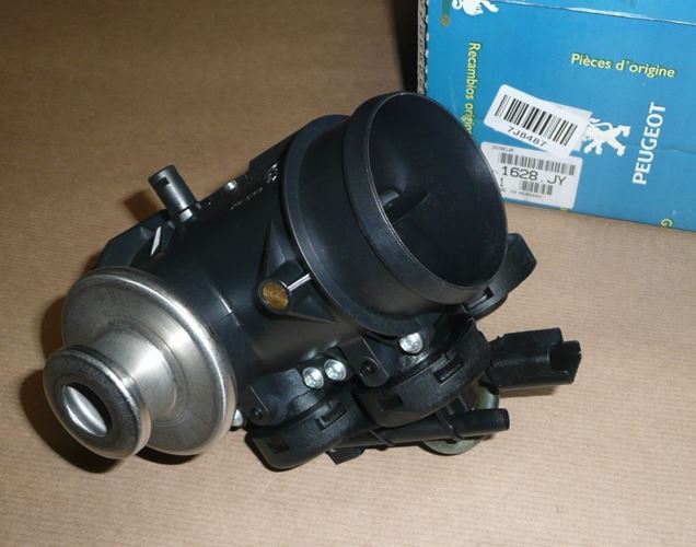 Zawór EGR Peugeot 206 1.9 D