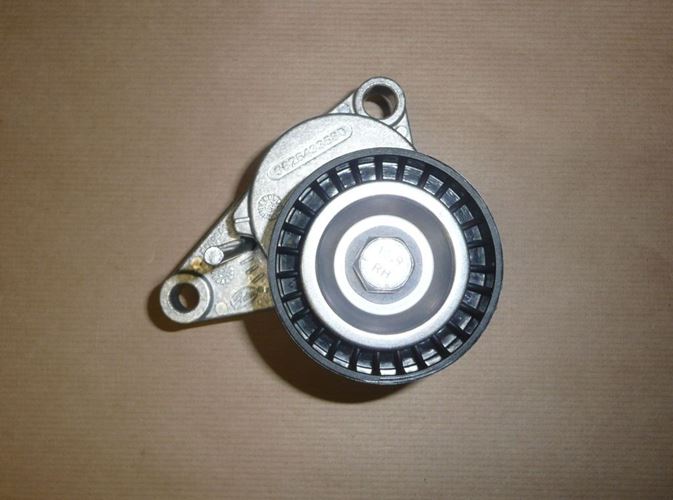 Napinacz alternatora Citroen C3 C4 Peugeot 207 308 1.6 16V