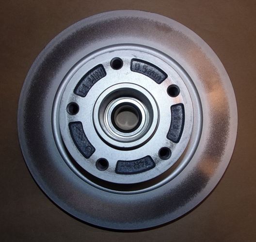 Tarcza hamulcowa Renault Megane IV RS 290 mm tył