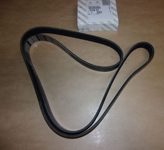 Pasek klinowy 6PK1530 1.3 HDI
