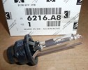 Żarówka ksenon D2R Citroen C5 Peugeot 607