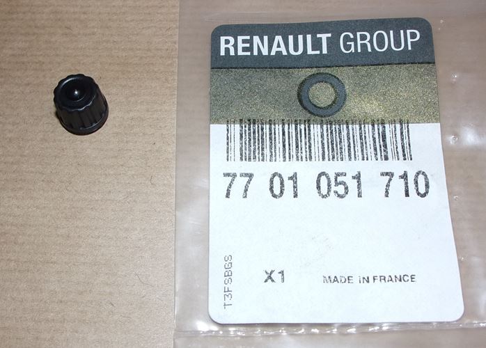 Odpowietrznik układu chłodzenia Renault