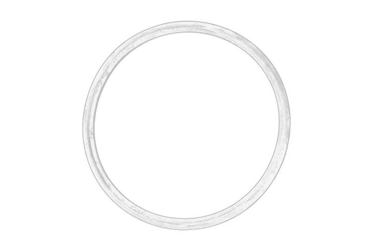 Oring przepustnicy gaszącej Renault 1.9 Dci