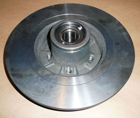 Tarcza hamulcowa Renault Clio III tył ABS02