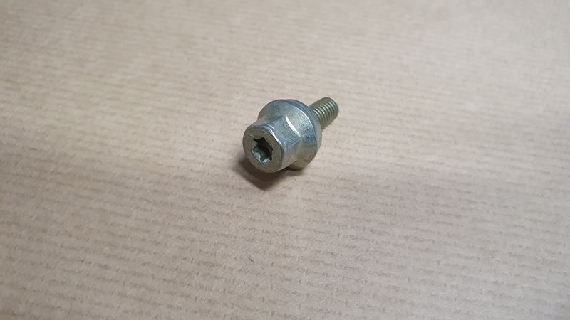 Śruba 6x100 11mm Oryginał PSA
