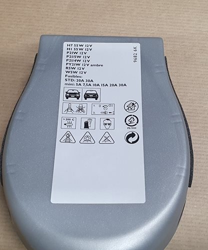 Zestaw Żarówek Zapasowych Oryginał PSA H1