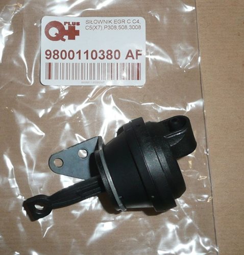 Siłownik EGR Citroen C4 C5 X7 Peugeot 308 508 3008