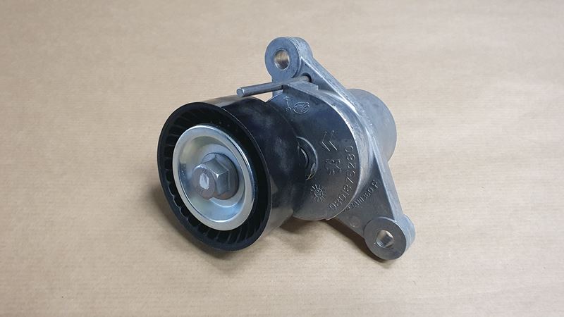 Napinacz Paska Alternatora Oryginał Citroen 1.4 1.6 HDi