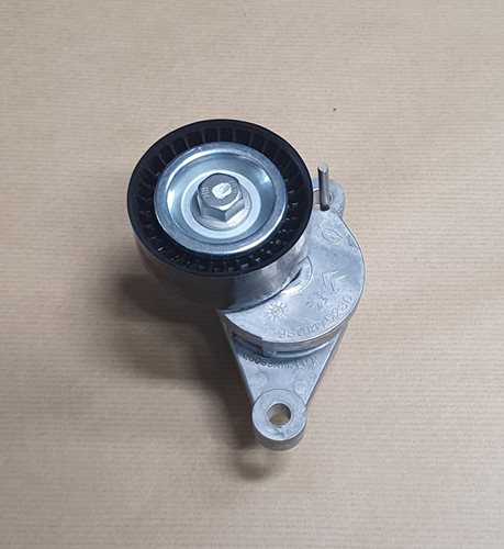 Napinacz Paska Alternatora Oryginał Citroen 1.4 1.6 HDi