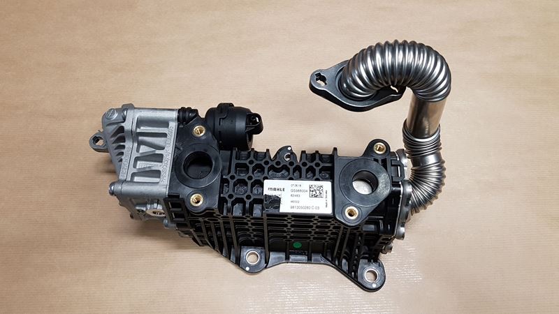 Chłodnica Spalin EGR 1.5 HDi Zamiennik Q++ - Citroën Jumpy IV