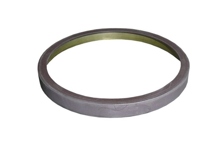 Pierścień ABS magnetyczny Peugeot Citroen