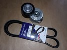 Komplet paska klinowego Citroen Jumpy III 2.0 Hdi