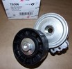 Napinacz alternatora Citroen C4 C5 Peugeot 307 308 2.0 Hdi