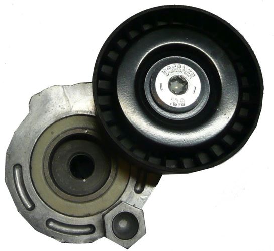 Napinacz alternatora Renault Clio II, III, Kangoo 1.5 Dci