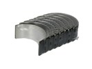 Panewki korbowe komplet Renault 1.9 Dci