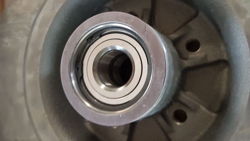 TARCZA HAM.R CLIO III TYŁ ABS02