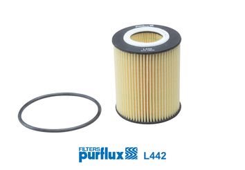 Filtr oleju Citroen C5 III C6 Peugeot 407 3.0 Hdi