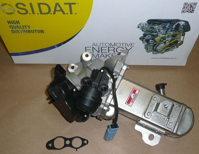 Zawór EGR Citroen C2 Peugeot 308 407 508 807 2.0 HDi
