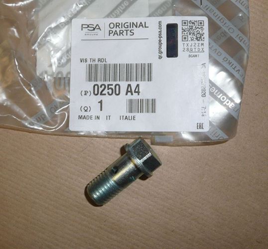 Śruba przewodu paliwa Citroen Jumper III