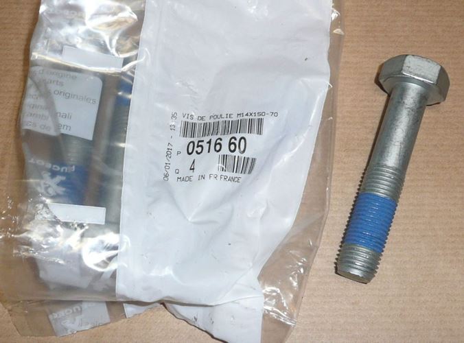 Śruba koła pasowego Peugeot Citroen 1.6 16V/2.0 HDi