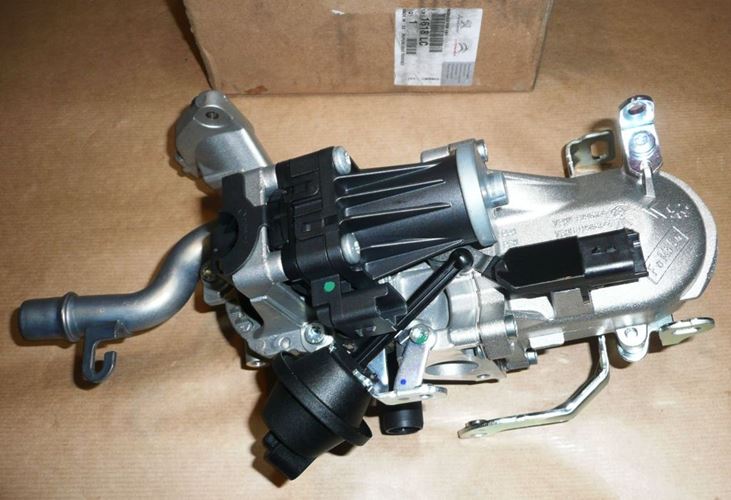 Zawór EGR Citroen Berlingo C3 Peugeot 206+ z modułem