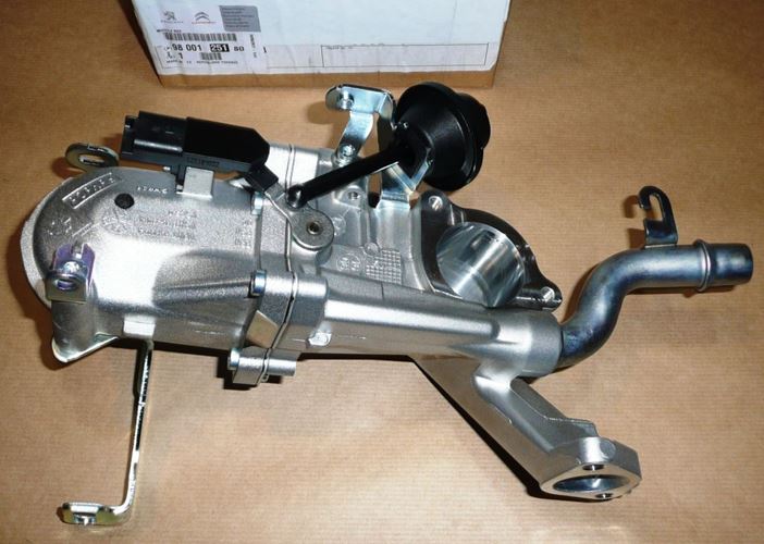 Moduł zaworu EGR Citroen Berlingo, C3, Peugeot 206+, 301